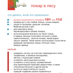 pojar_v_lesu_text_